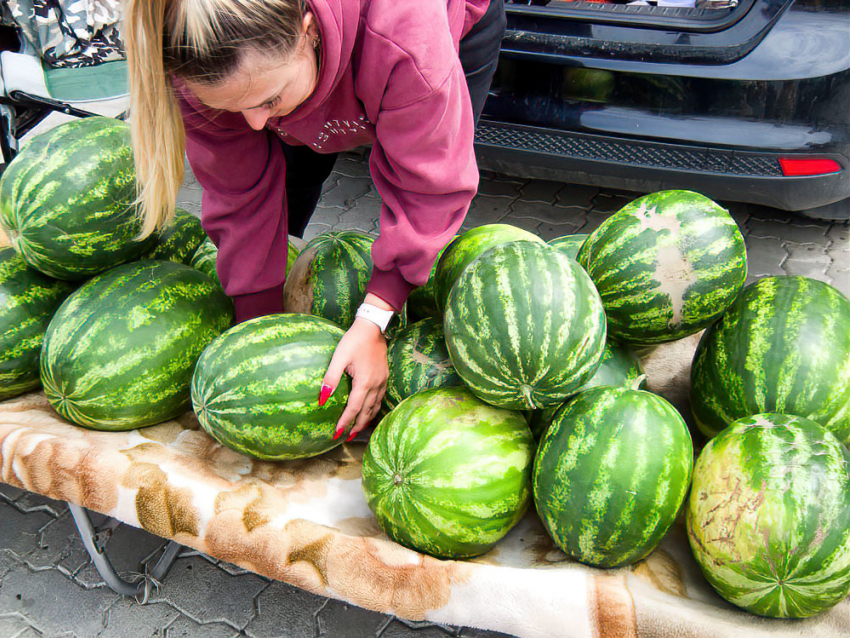 В Волгоградской области растет объем розничной торговли на рынках и ярмарках