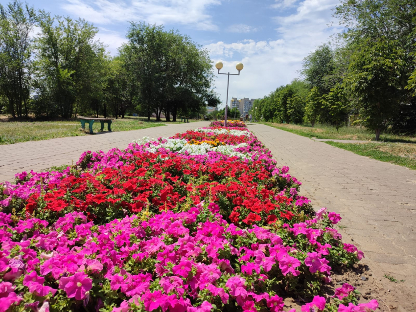 +33 и яркое солнце: жара никуда не уходит из Камышина 10 июля