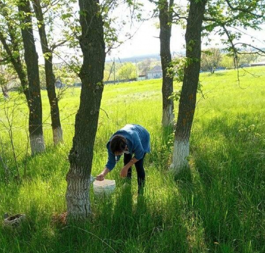 Камышинские водолазы ищут тело девочки, утонувшей в пруду под Рудней