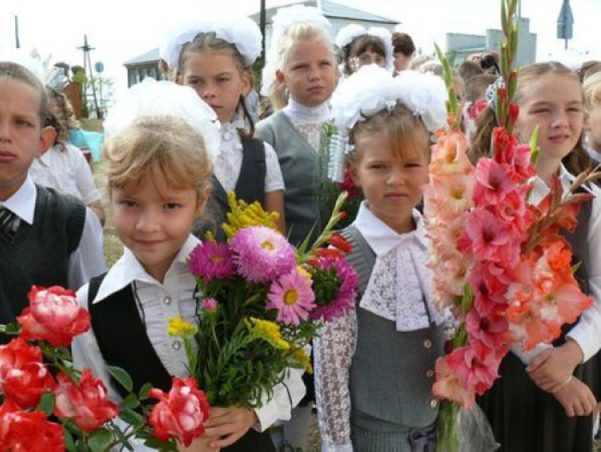 Больше трех тысяч ребят пришли сегодня на праздничные линейки в школах Камышинского района