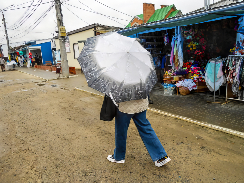 Дождливую субботу 4 апреля предсказали синоптики камышанам