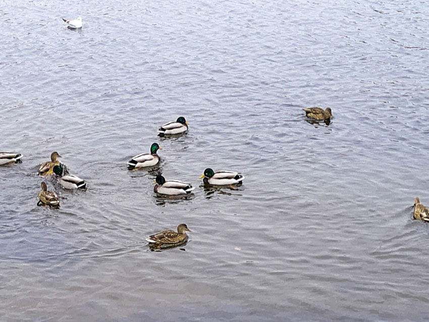  В Камышине 7 ноября прогнозируется хорошая погода, если не считать геомагнитного шквала