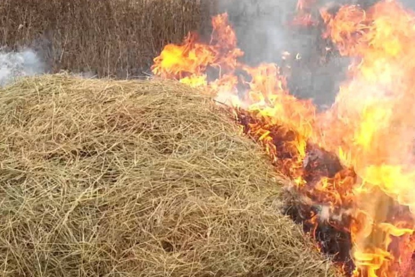В селе Семеновка Камышинского района сгорело сено на 30 квадратах