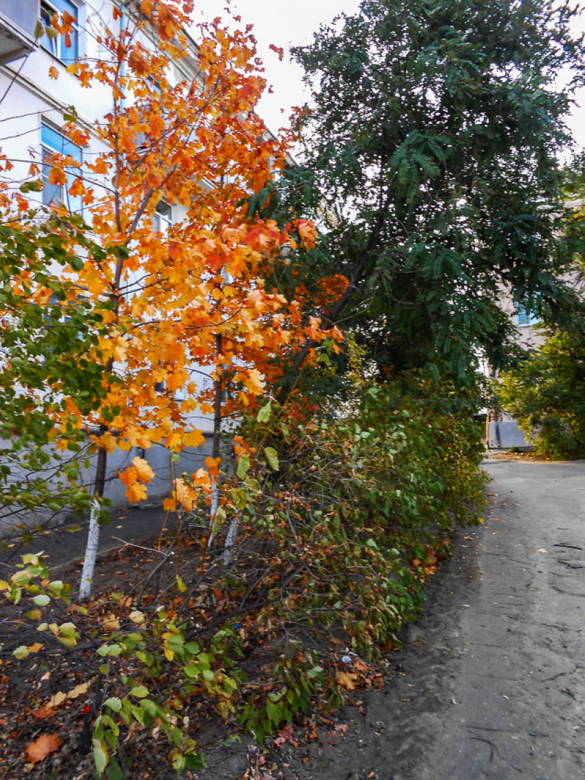 В Волгограде согрелись батареи в двух третях МКД, а в Камышине, который куда севернее, информации о начале отопления нет вовсе