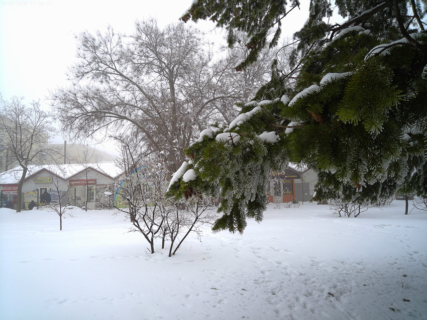 Шесть градусов мороза и легкий снег - перед новым похолоданием: погода в Камышине на 9 февраля