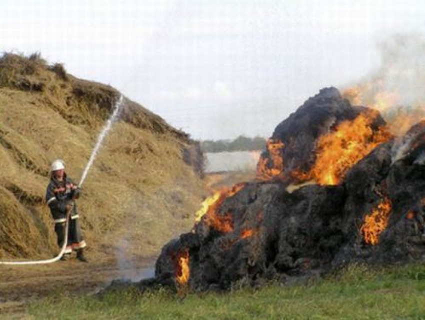Под Камышином по неосторожности сгорело 100 килограмм соломы