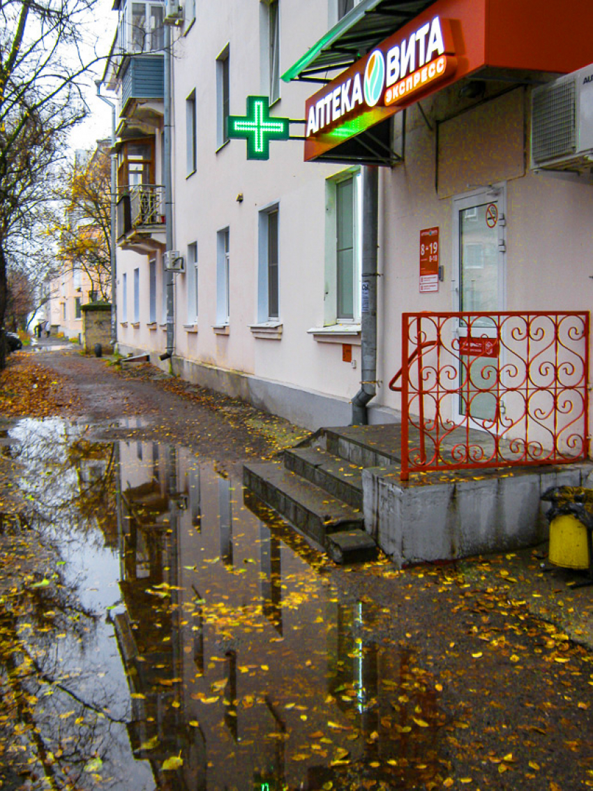 Жителям второго участка и этой осенью придется прыгать в аптеку через вечную лужу, как сайгакам? - камышанка