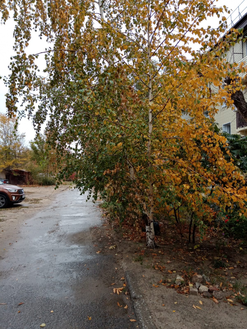 В пяти многоквартирных домах Камышина отключат свет сегодня, 20 октября