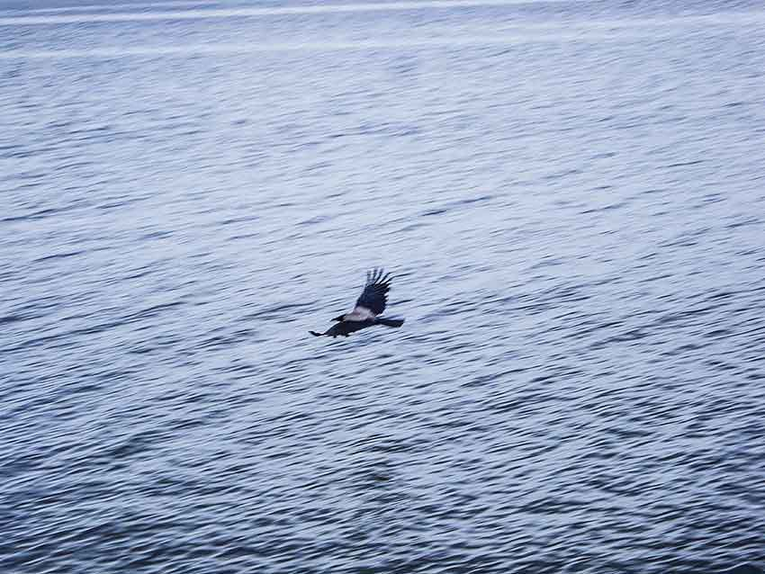 В Камышнском районе водолазы подняли со дна Волги тело утонувшего петроввальца