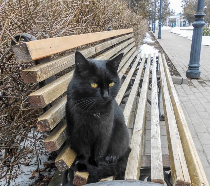 Яркое солнце пообещали синоптики камышанам 23 марта - перед дождем