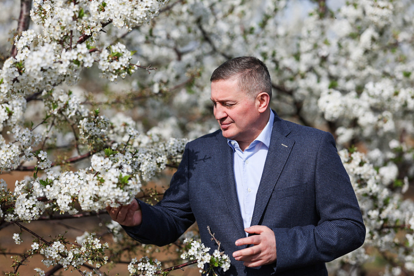 По какому поводу губернатор Андрей Бочаров побывал в цветущем саду и на камеры посадил вишневые деревья
