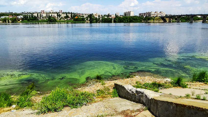 Тошнота, рвота  и сыпь: чем грозит купание в зеленой реке