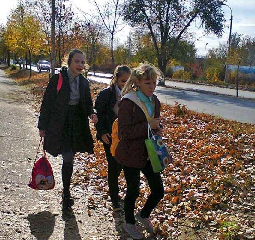 95% школьников учить виртуально: в Волгоградской области приняли программу развития образования, - «Блокнот Волгограда"