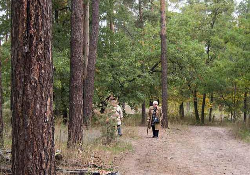 В Волгоградской области начала действовать самоизоляция для невакцинированных жителей старше 65 лет 