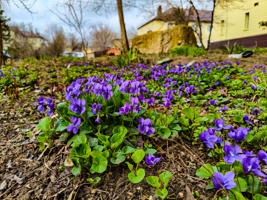 ГУ МЧС России по Волгоградской области вновь опубликовало экстренное предупреждение о заморозках в ночь на 1 Мая