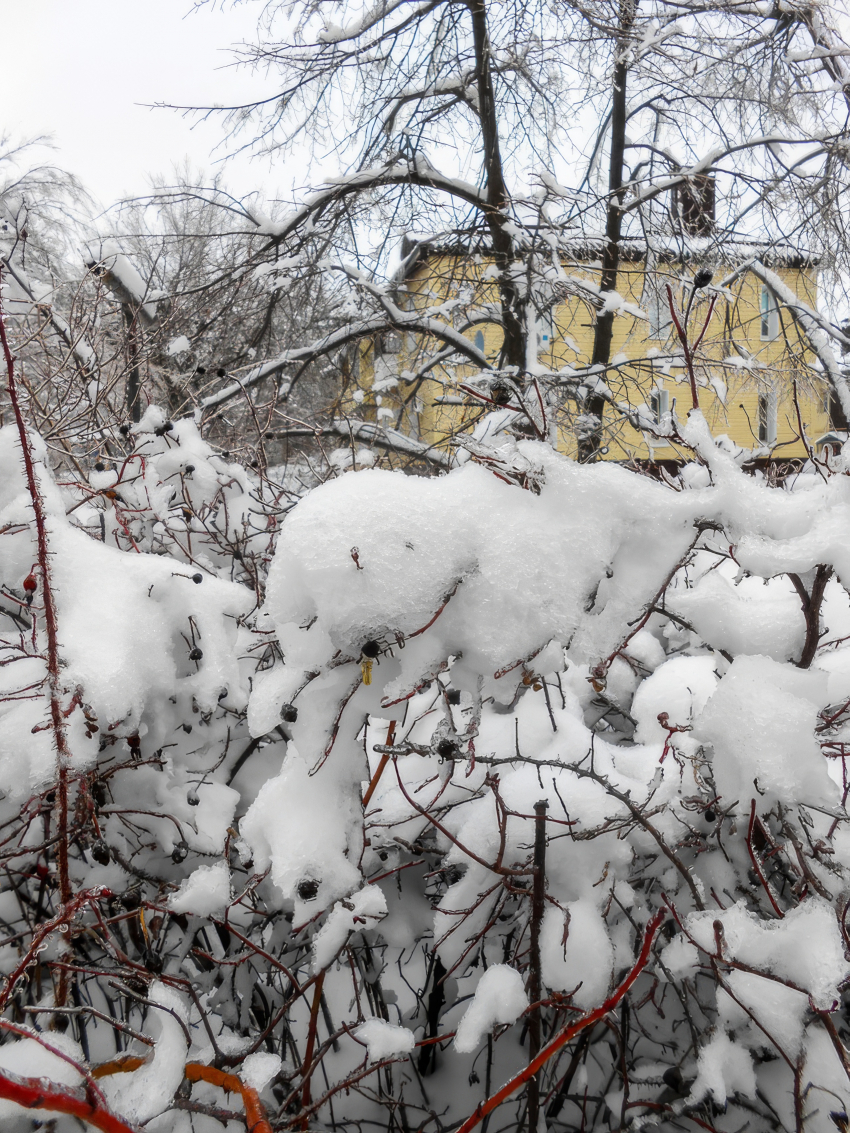 Где в Камышине будут отключать свет, холодную и горячую воду завтра, 15 января