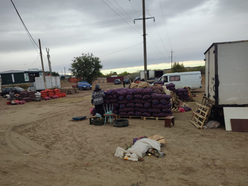 Самую дешевую картошку на оптовых овощных рынках Камышина можно купить по 28 рублей