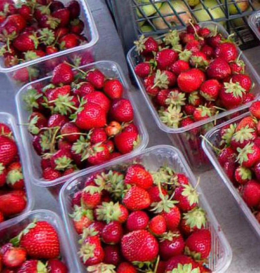 Камышинские дачники собрали третий урожай клубники за сезон