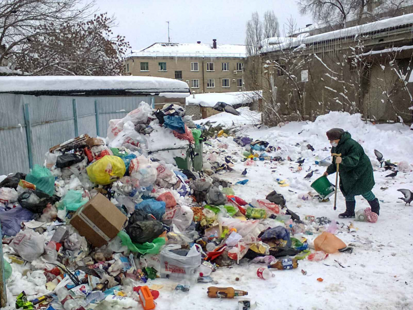 Администрация Камышина предложила горожанам «проголосовать", как лучше собирать мусор в городе