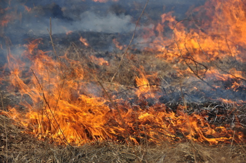 За неделю в Камышине зарегистрировано 10 пожаров  