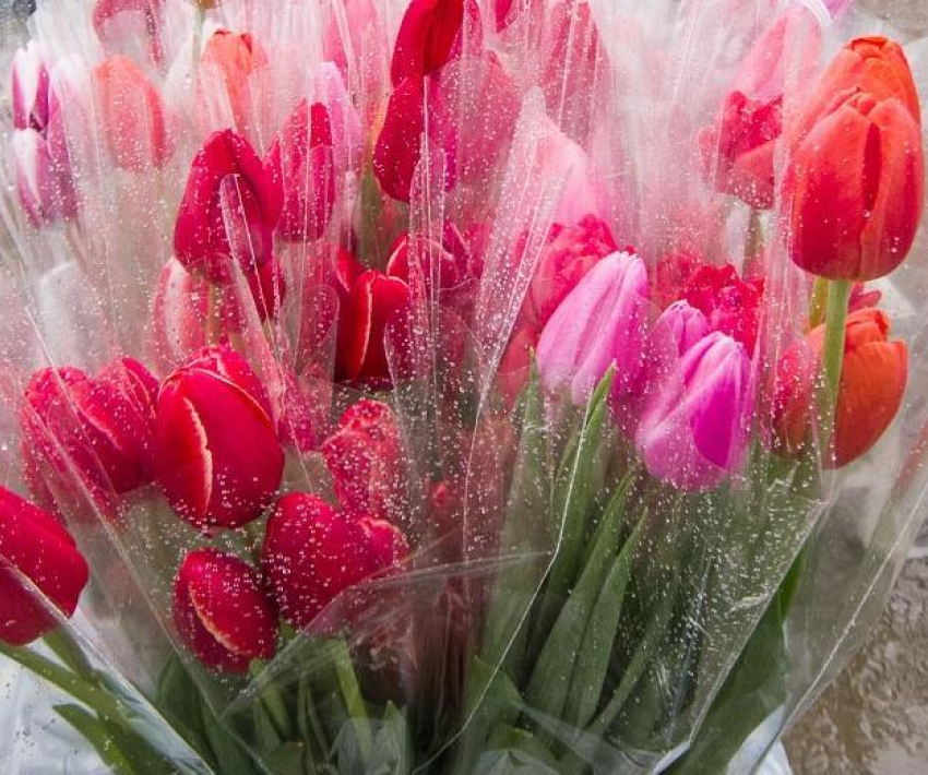 Несколько акцентов от компании МегаФон к теме «цветочного» трафика в Волгоградской области