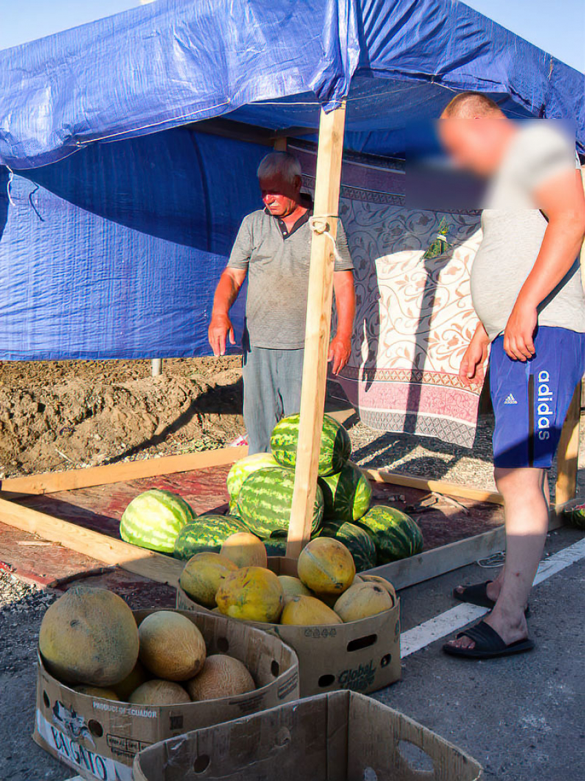 В Камышине на придорожных ярмарках арбузы стали отдавать по 25 рублей за килограмм