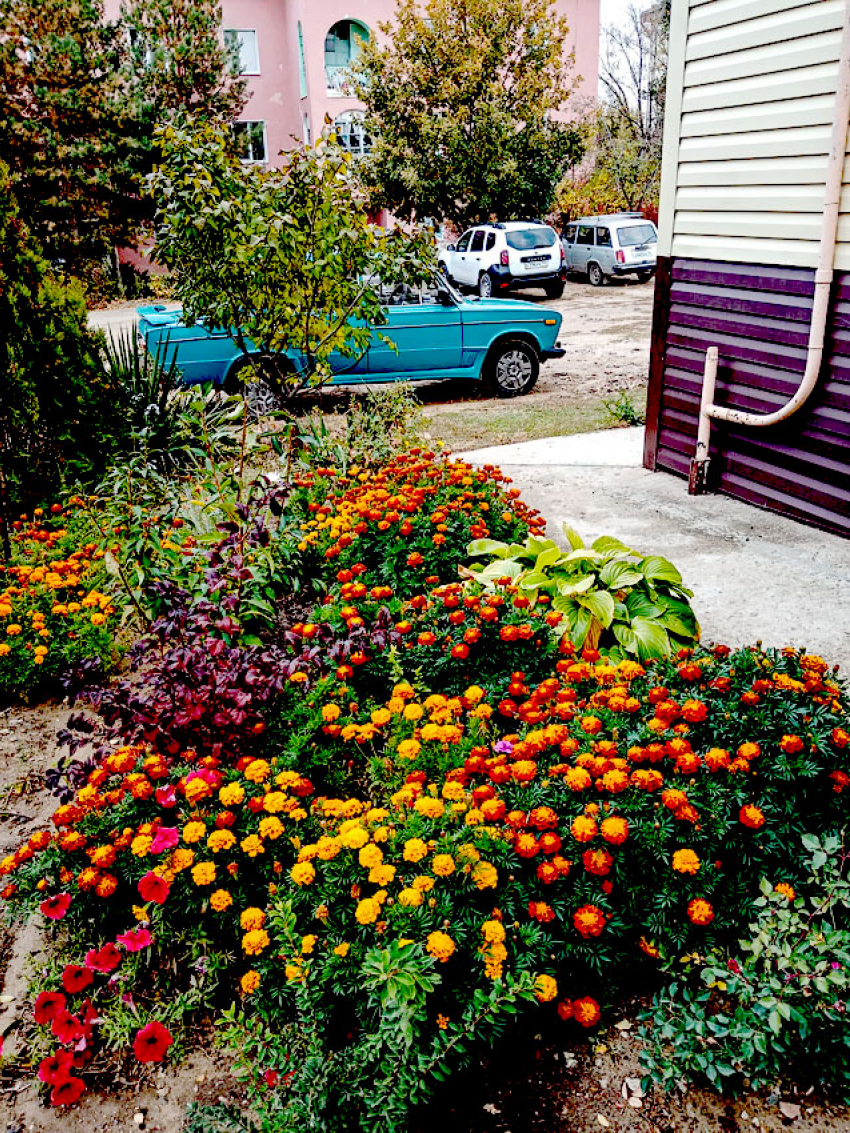 В Камышине сегодня, 14 октября, коммунальщики решили «обойтись» отключением света всего в четырех МКД