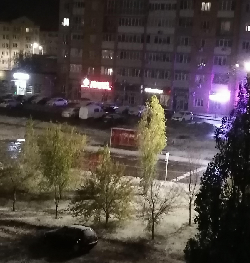 Зеленые деревья на белом снегу: к полуночи последнего дня октября Камышин приобрел фантазийный вид
