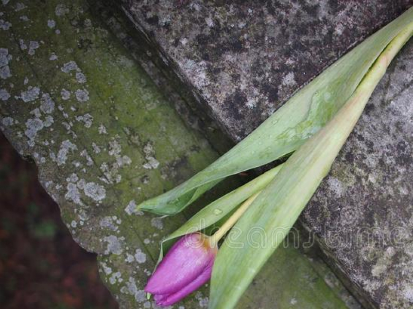 Для камышан немного увеличилось похоронное пособие