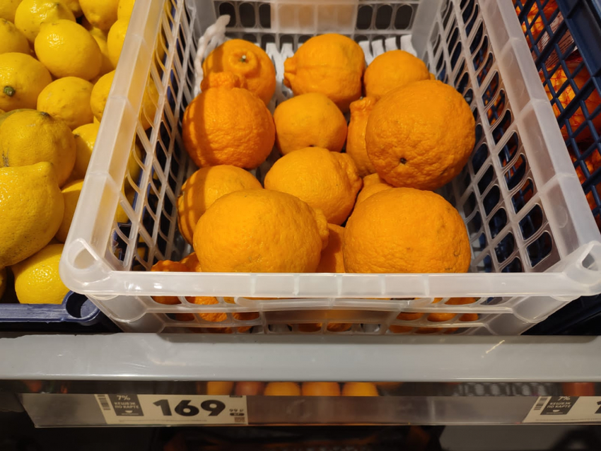 Китайские «носатые» апельсины понравились камышанам