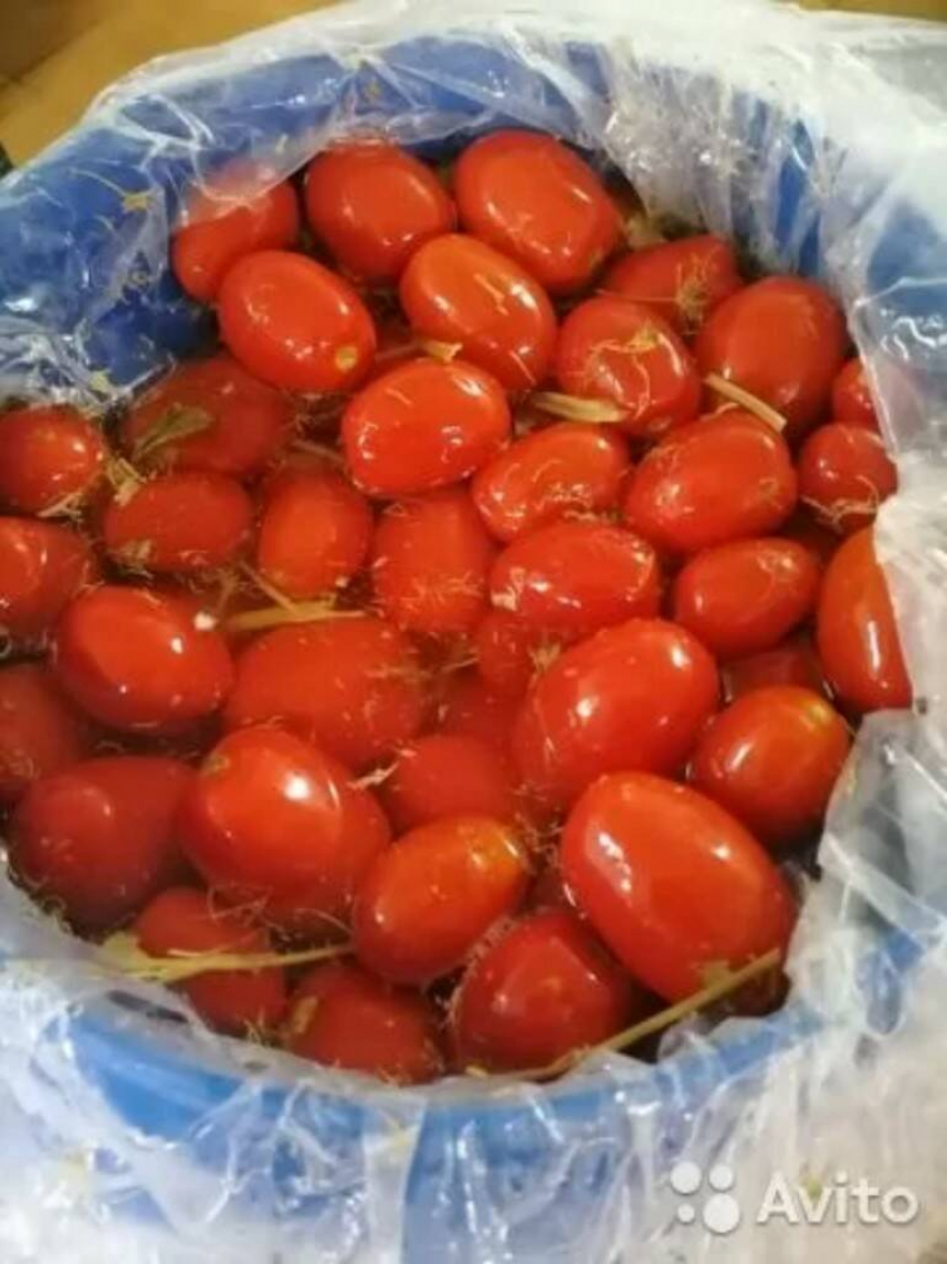 Камышинская засолочная база прославилась бесплатной раздачей квашеных помидоров