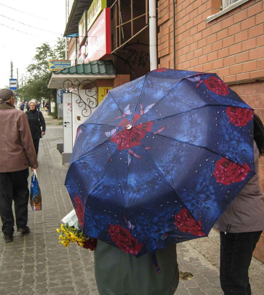 В Камышине в пятницу пройдет дождь и похолодает