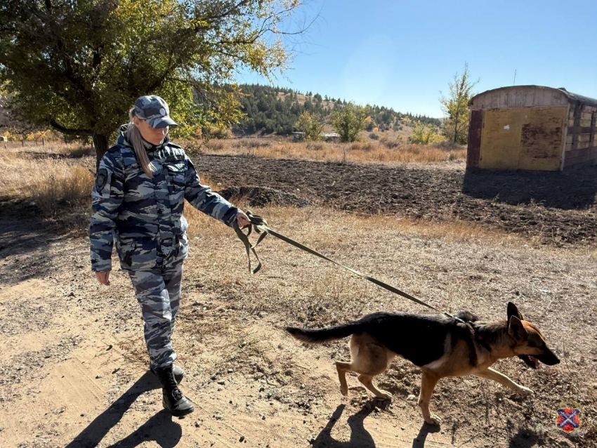 В Камышинском районе продолжаются поиски без вести пропавшего Сулейманова Александра Анваровича