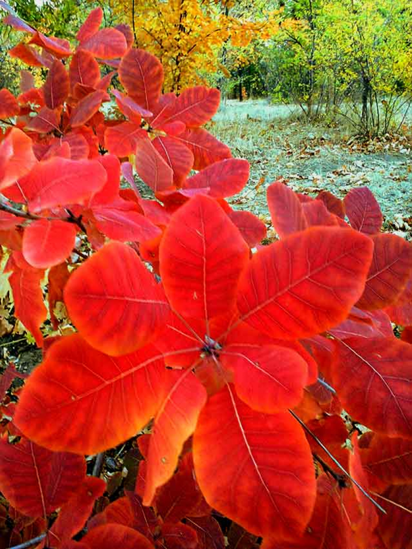 Стало известно, кто они - несчастные, ушедшие в мир иной из-за коронавируса, по данным на 6 октября
