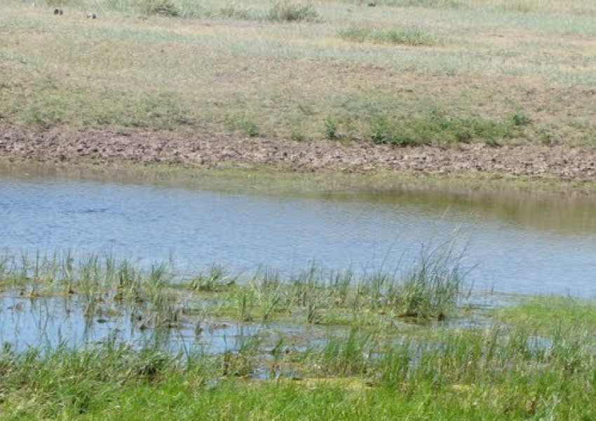 В Камышинском районе малая река Семеновка «обросла» большим пакетом нарушений природоохранного законодательства