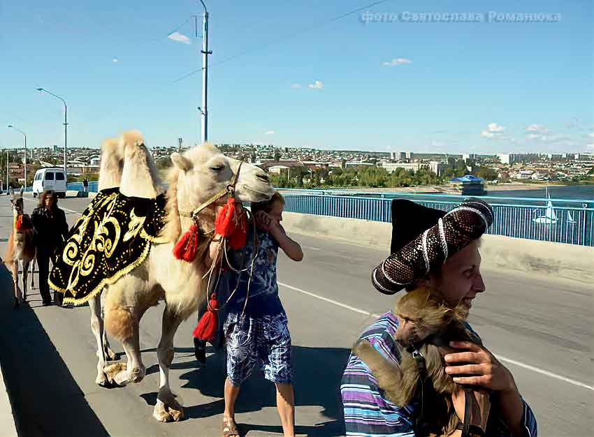 В Камышине решили исключить шествие по Бородинскому мосту и «мочилово» из программы Арбузного фестиваля в 2022 году