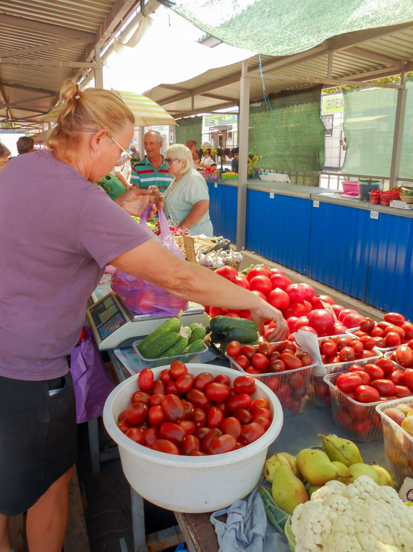 «Каторга и выживание»: депутаты предложили выплачивать всем пожилым 13-ю пенсию