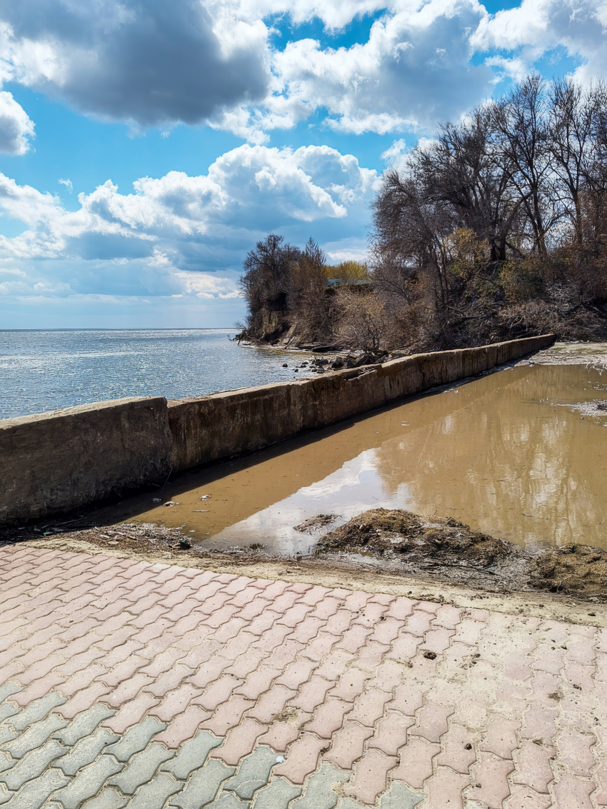Непросыхающее болото портит вид центральной набережной Камышина: надо укреплять Висельный овраг! - камышанка