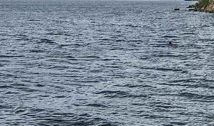 В Камышинском районе близ села Антиповка у лодки одного рыбака всплыл труп другого