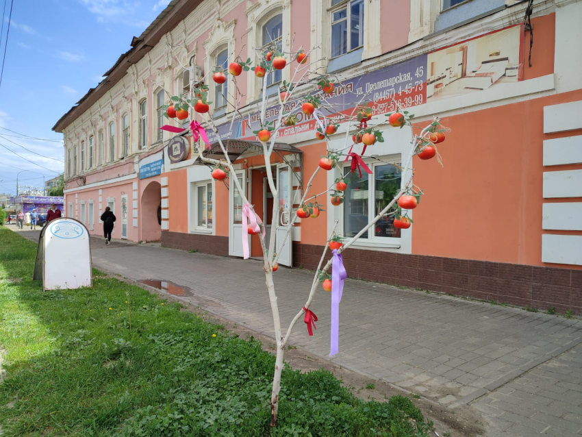 Да не надо Камышину пластиковых деревьев - лучше живые и красивые вырастить! - камышанка