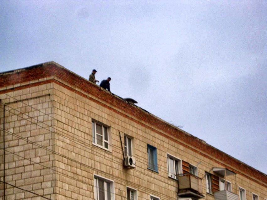 Ужас берет, как у нас в Камышине безо всякого внимания к технике безопасности ремонтируют по осени крыши, - камышанка
