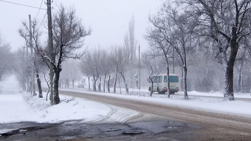 Шторм с метелью накроют Волгоградскую область 