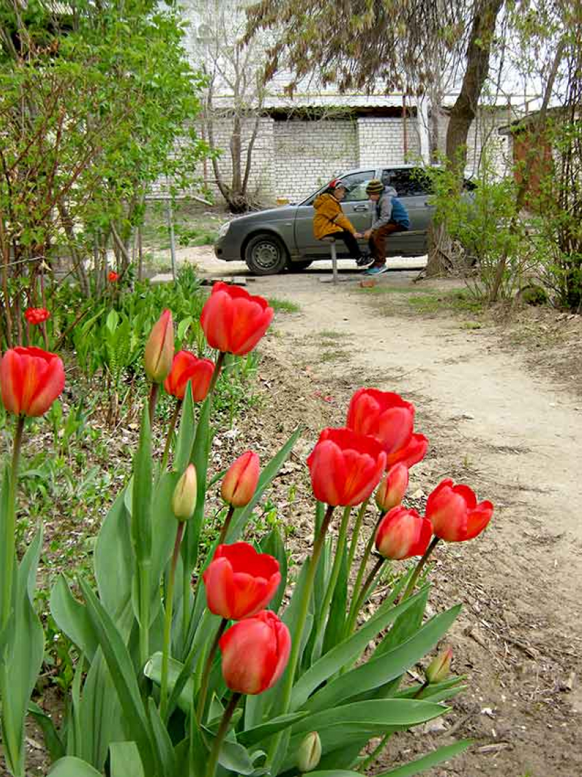 В Камышин пришел вторник с дождем