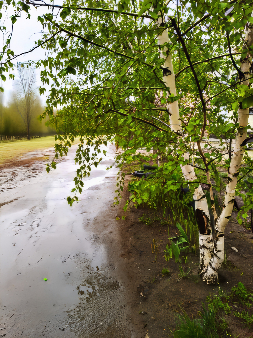 В Камышине понедельник 27 апреля выдался дождливым и ветреным