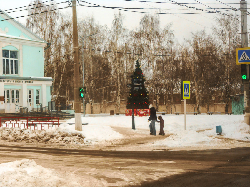 В Камышине новогодняя наряженная елка на центральной улице «пошла на рекорд» как старожил