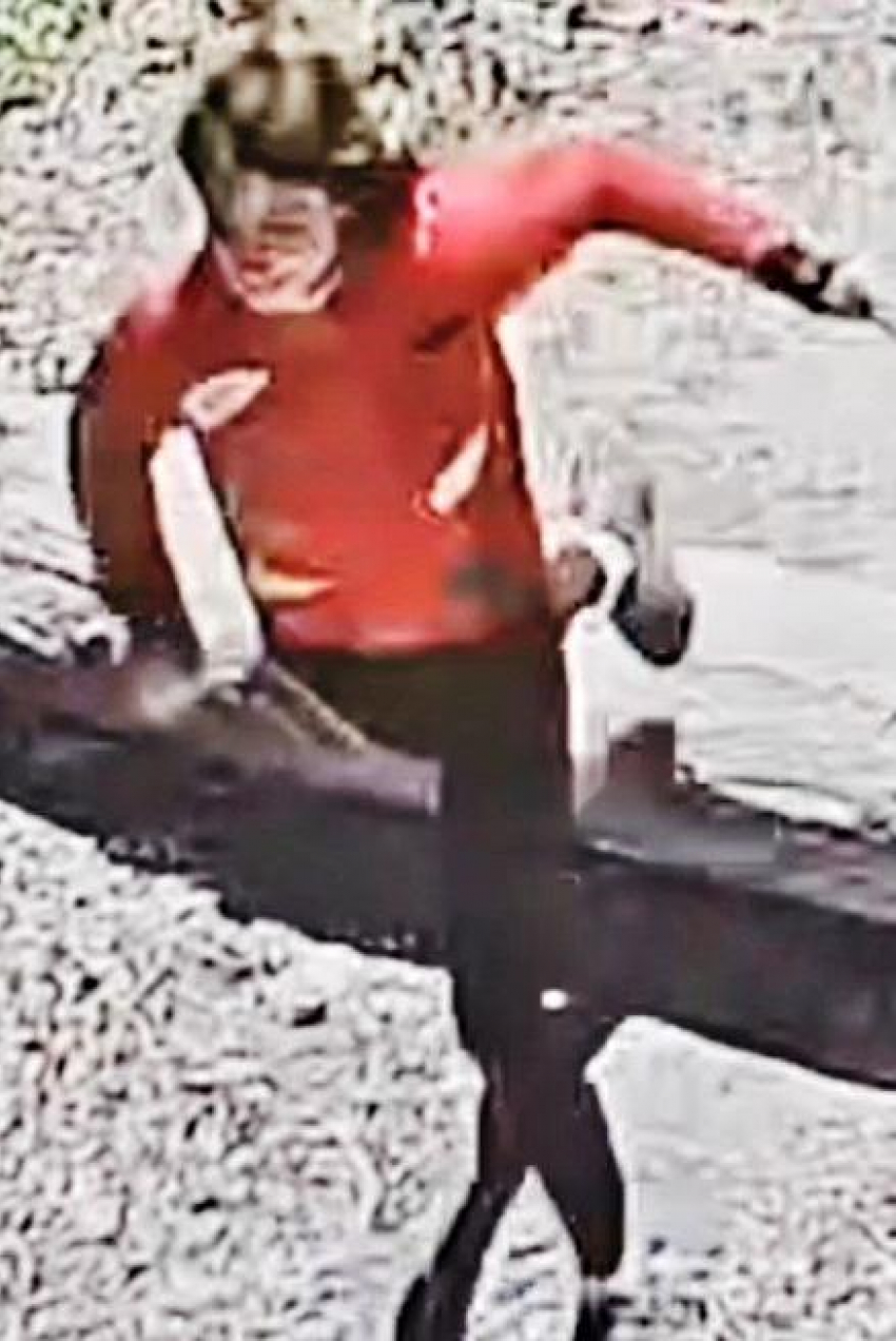 В Камышине девушка на улице вырвала из ушей пенсионерки серьги: полиция просит помощи в установлении личности (ВИДЕО)