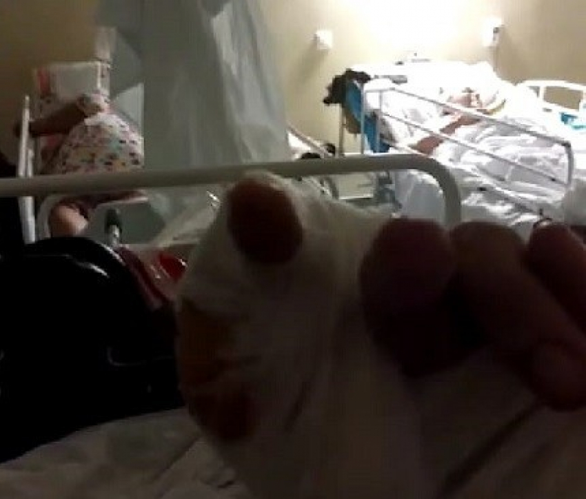 Женщине отгрыз палец домашний алабай, - «Блокнот Волгограда"