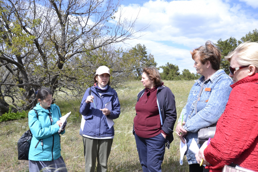 В какие экспедиции природный парк Камышинского района приглашает «погрузиться»  педагогов