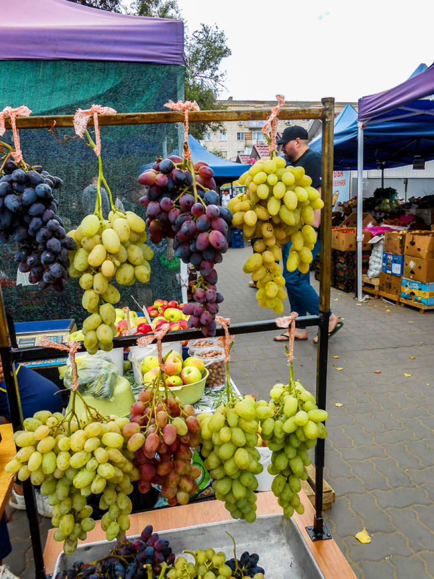 В Камышине виноград подешевел до 170 рублей за килограмм