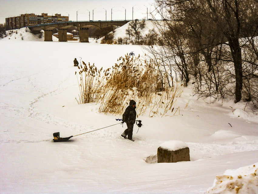 В Камышине прогнозируется дождь: погодная повестка на выходные